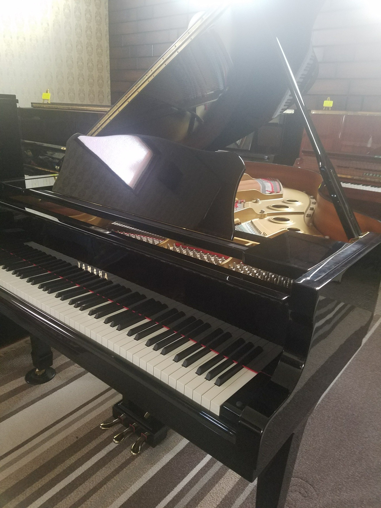 【完売】YAMAHA C3E入庫しました!