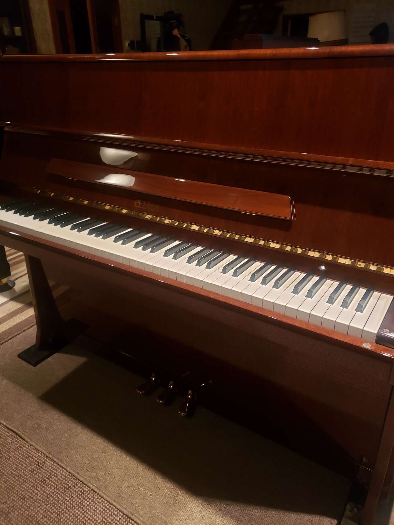 【売約済み】ペトロフ 115ーIII入庫しました